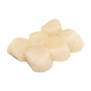 Callo de Hacha 40-60